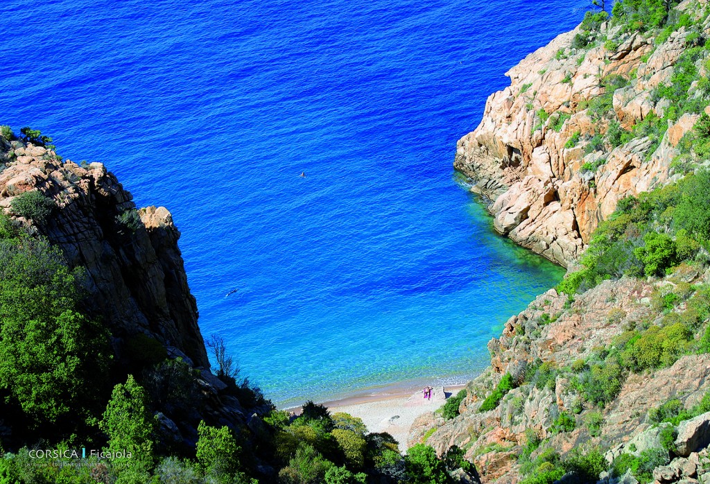 Boutique Souvenir de Corse