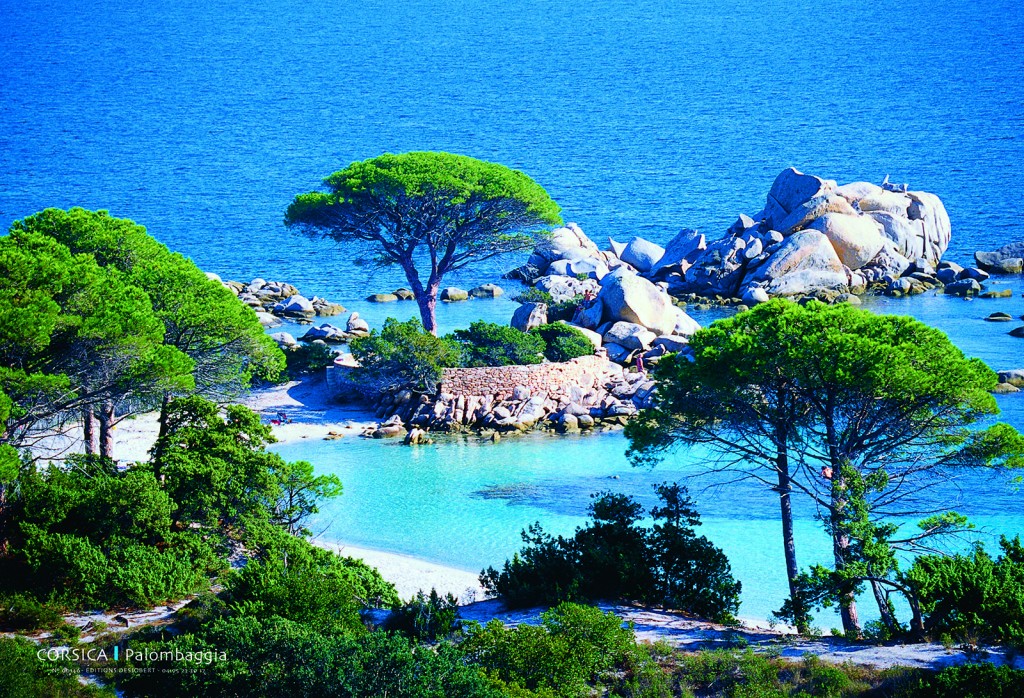 Boutique Souvenir de Corse