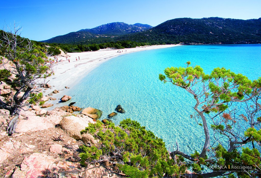Boutique Souvenir de Corse