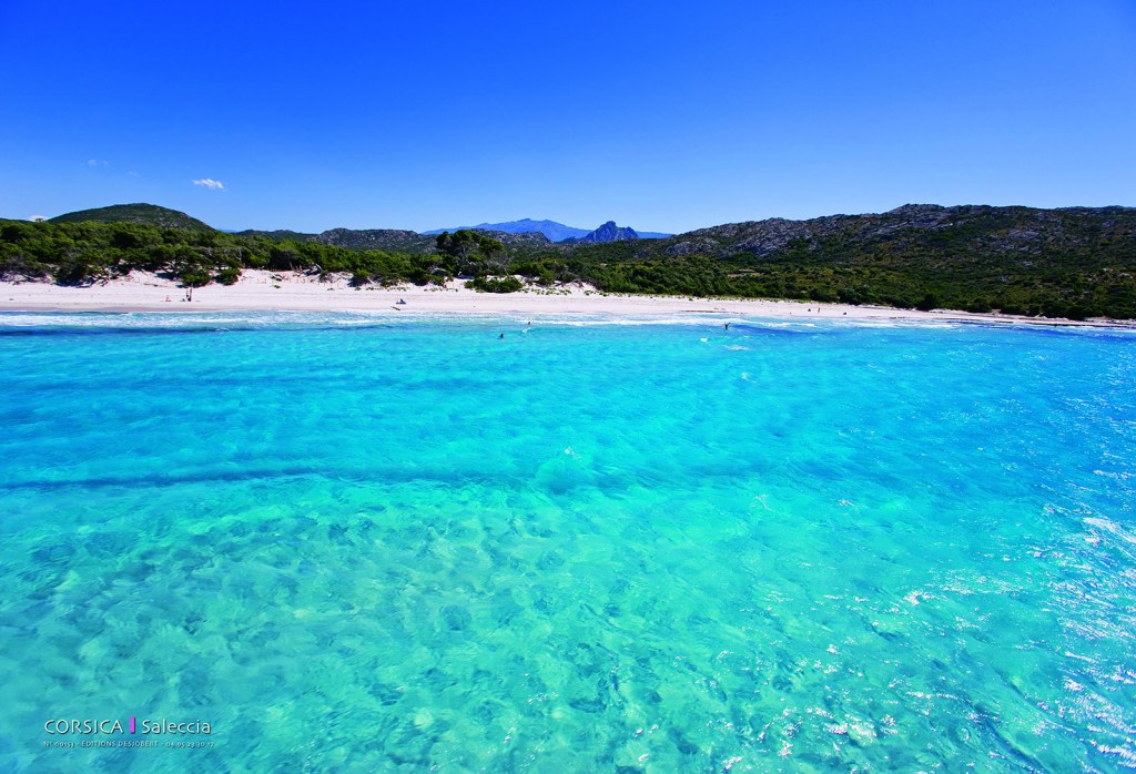 Boutique Souvenir de Corse