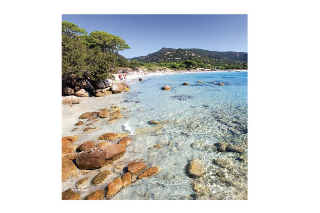 Boutique Souvenir de Corse