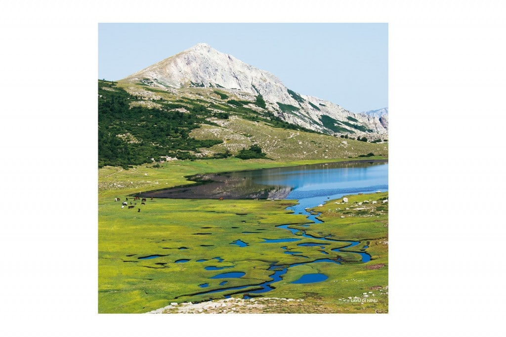Boutique Souvenir de Corse