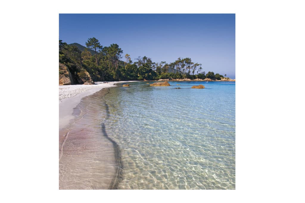 Boutique Souvenir de Corse