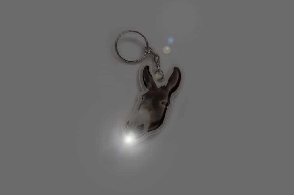 Boutique Souvenir de Corse