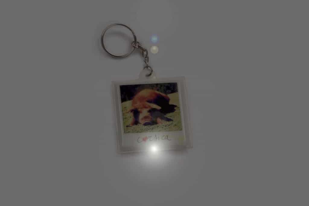 Boutique Souvenir de Corse