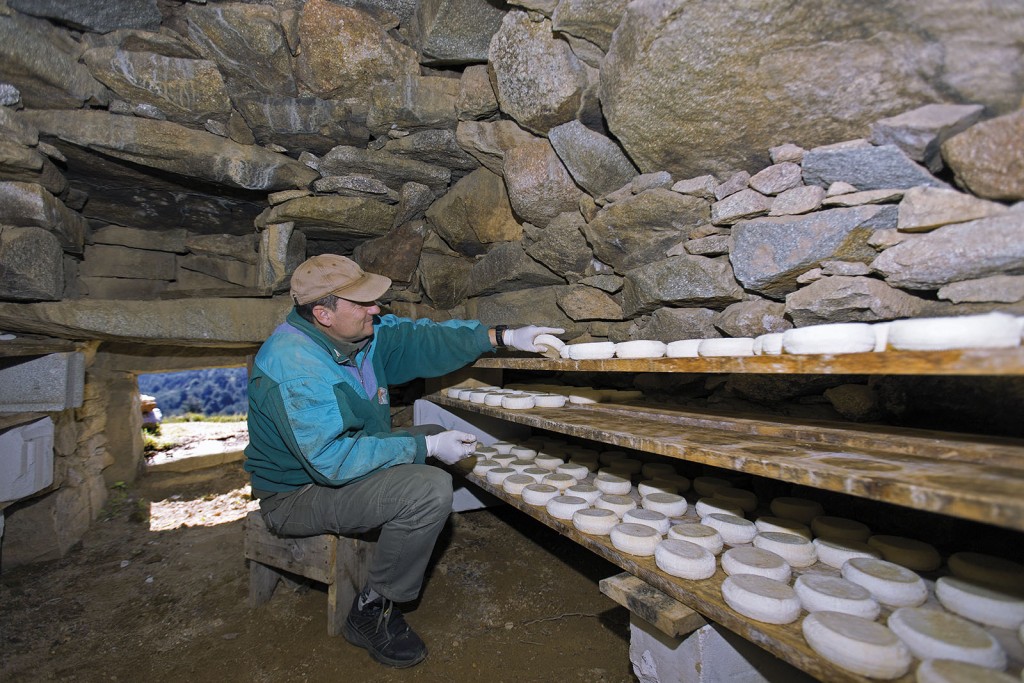 Boutique Souvenir de Corse