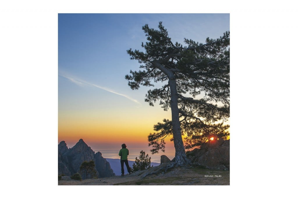 Boutique Souvenir de Corse