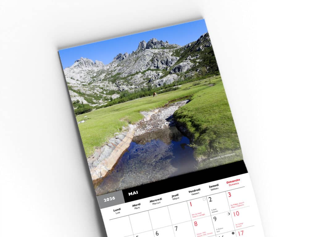 Boutique Souvenir de Corse