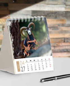 Calendrier de Table 2027 - Corsica – Image 5