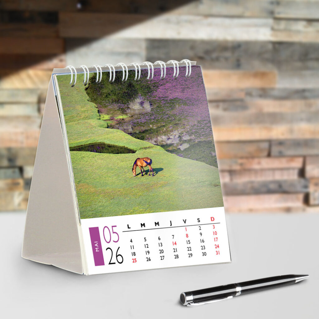 Boutique Souvenir de Corse