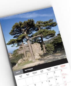 Calendrier Mural 2027 - Corsica – Image 11